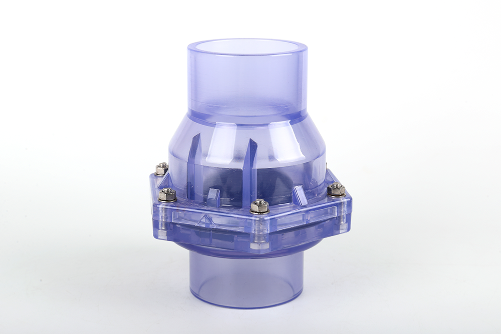 涉县透明翻板式止回阀